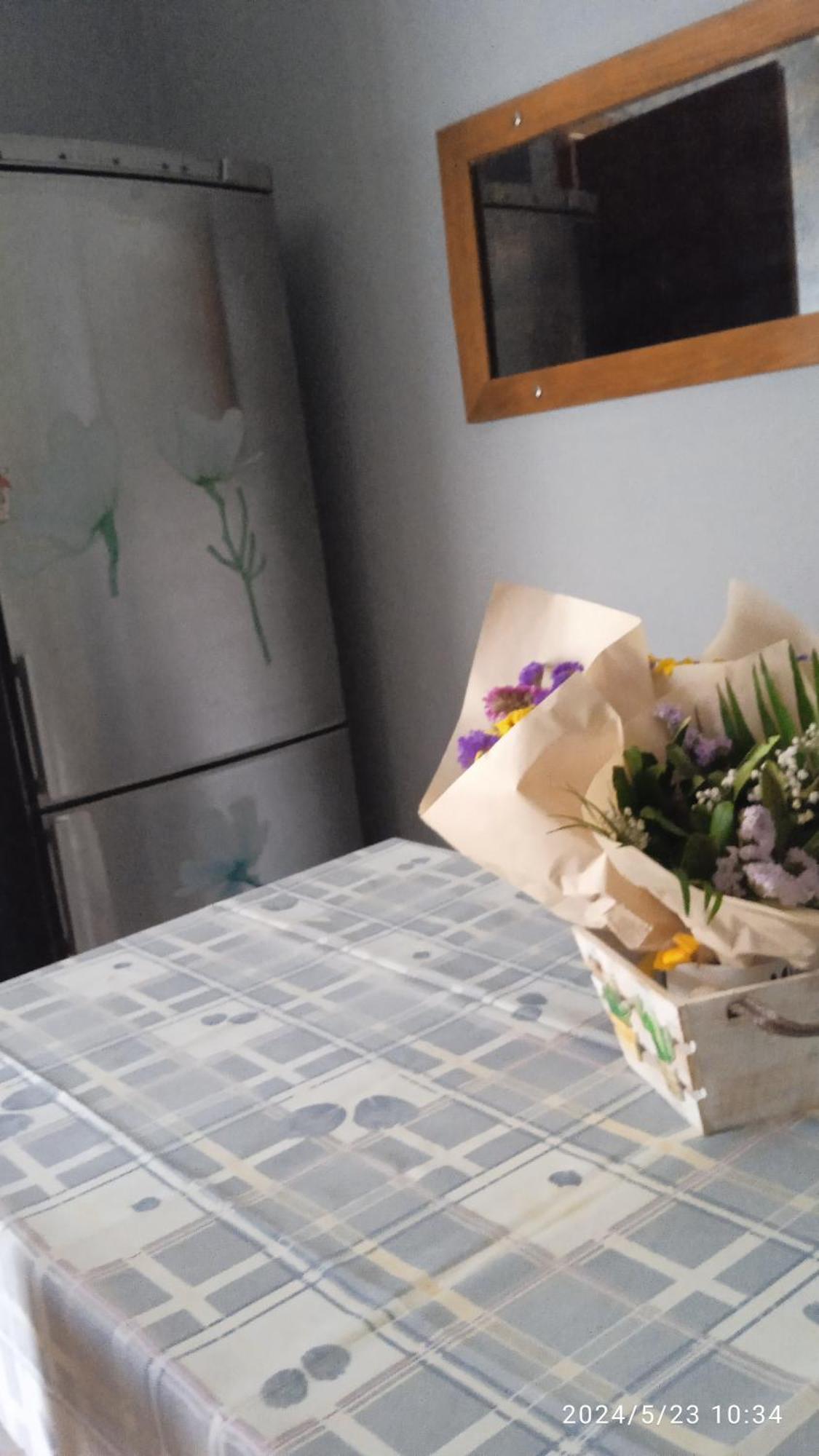 ניאה מיכאניונה Roses Apartments מראה חיצוני תמונה